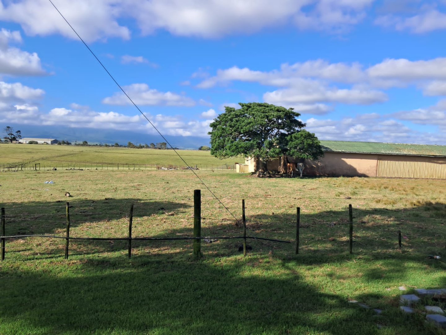  Bedroom Property for Sale in Groot Brakrivier Rural Western Cape